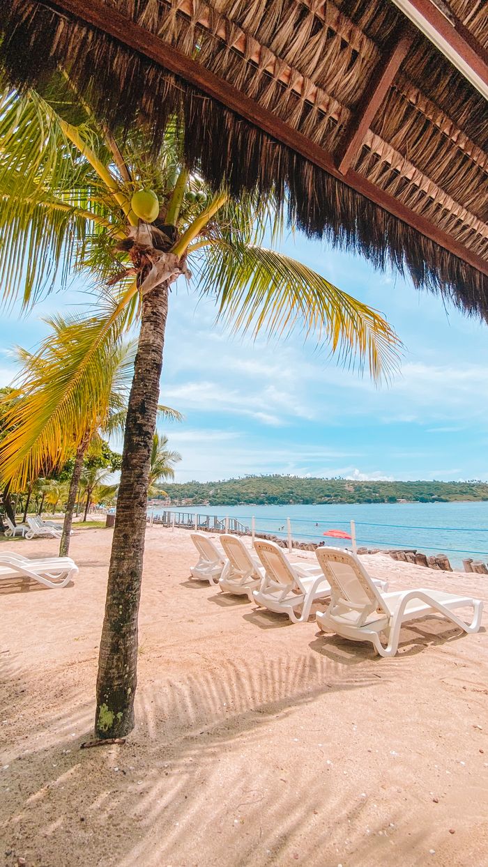 About Relaxing tropical beach view with palm trees, white sand, and ocean under a thatched roof.