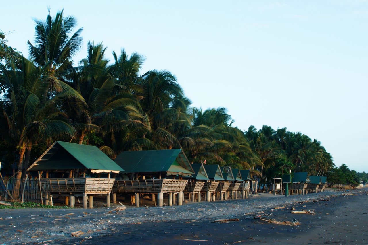 Services Scenic beach huts lined with palm trees under a clear sky in the Philippines.