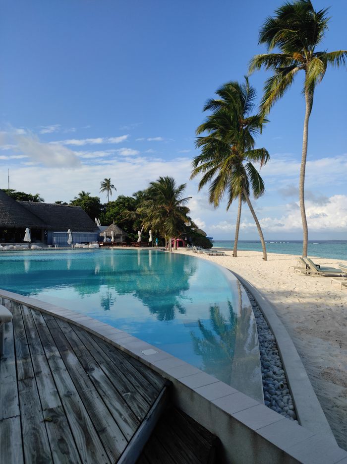 The Art of Drawing Readers In: Your attractive post title goes here Relaxing beachfront scene at Ifuru Island, Maldives with palm trees and a pristine pool reflecting the sky.